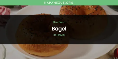 The Absolute Best Bagel in Davis