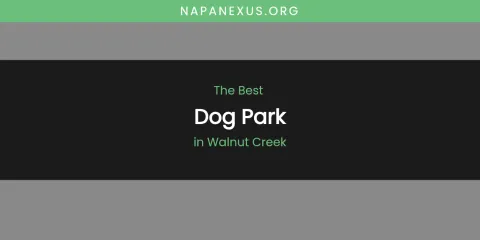 Walnut Creek's Best Dog Park
