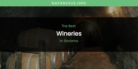 Discover the Best Wineries in Sonoma